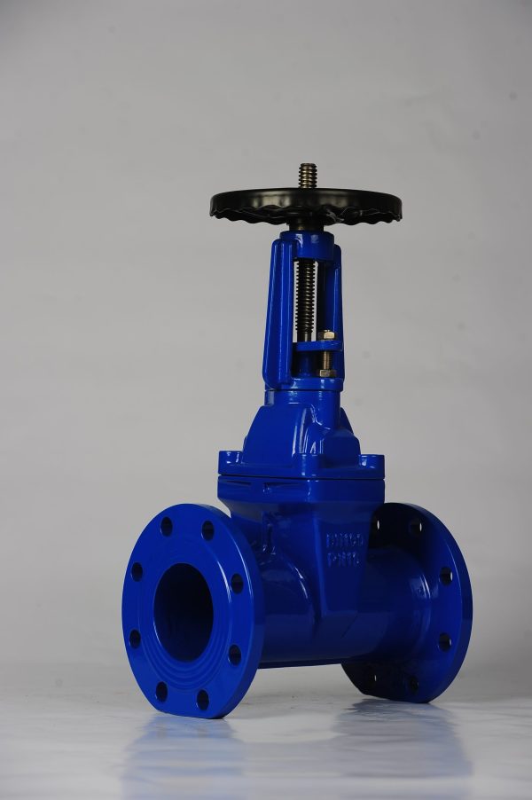 BS 5163 Rising Stem Resilient Seated Gate Valve