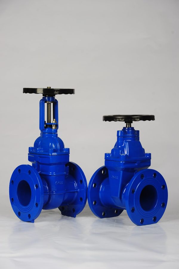 BS 5163 Rising Stem Metal Seated Gate Valve - Image 2