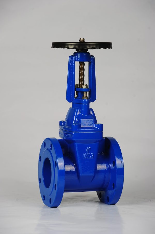 AWWA C509/C515 Rising Stem Resilient Seated Gate Valve
