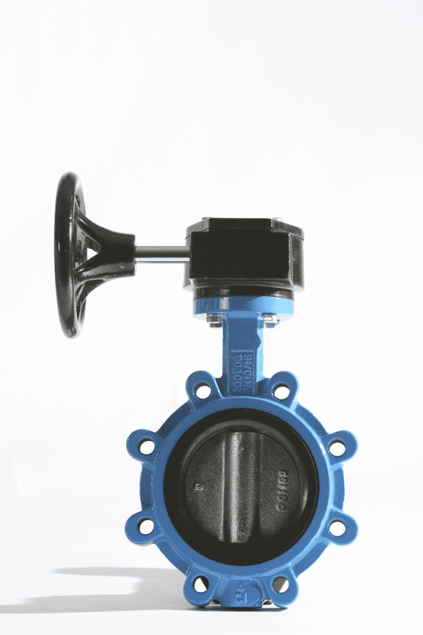Worm Gear Operated Lug Butterfly Valve