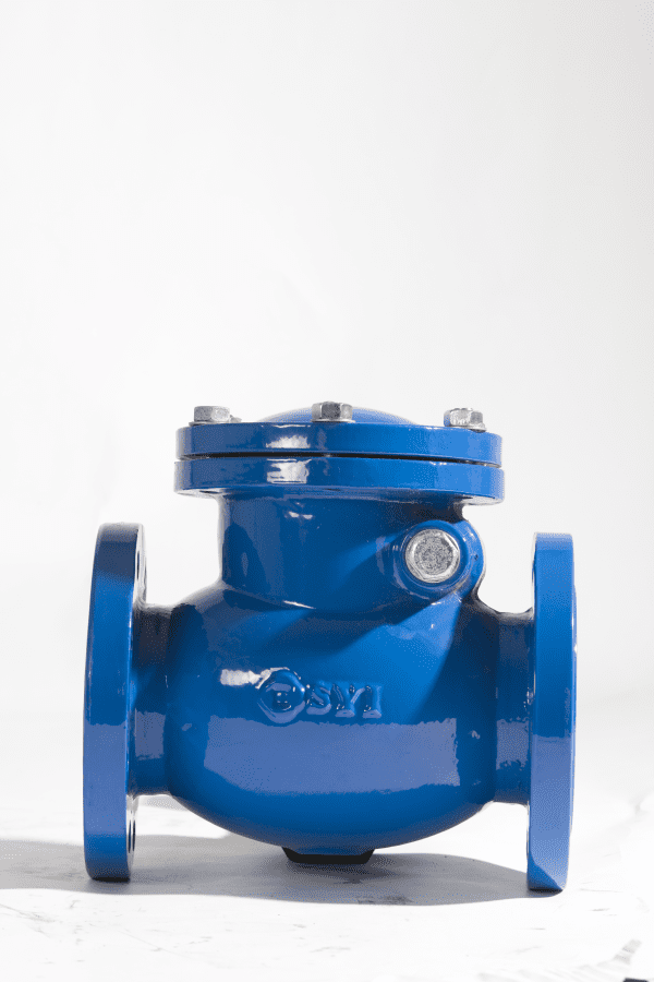 DIN3202 Swing Check Valve