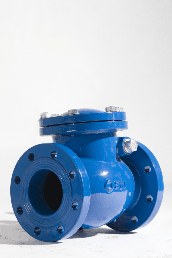 DIN3202 Swing Check Valve - Image 2