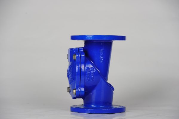 BS 5153 Flexible Disc Check Valve