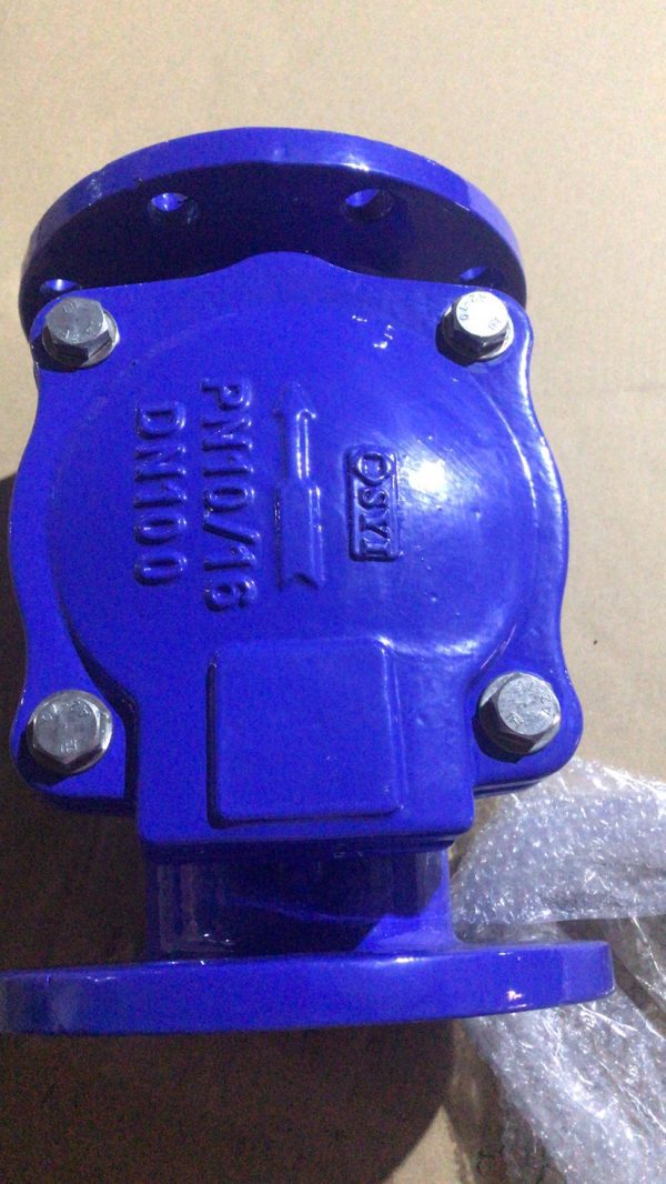 BS 5153 Flexible Disc Check Valve - Image 3