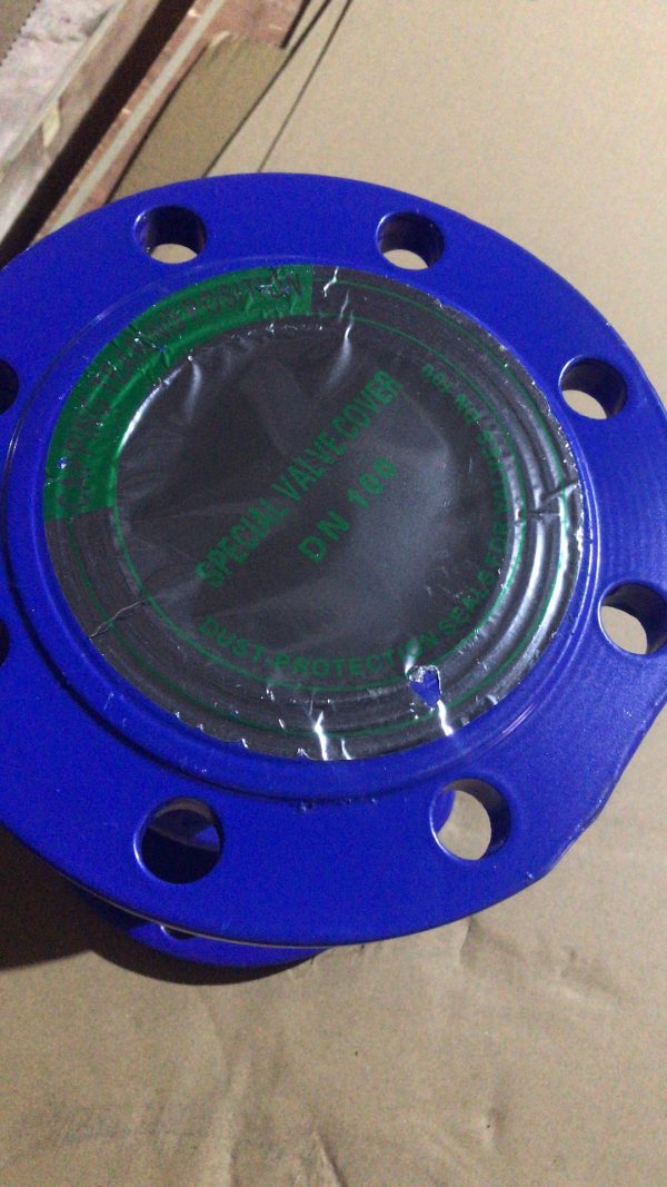 BS 5153 Flexible Disc Check Valve - Image 4