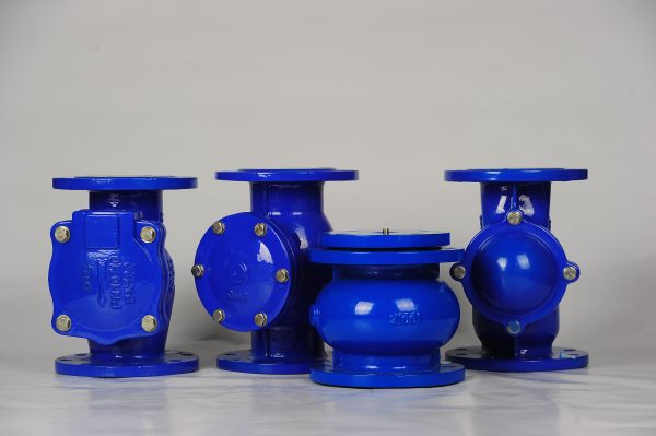 BS 5153 Flexible Disc Check Valve - Image 2