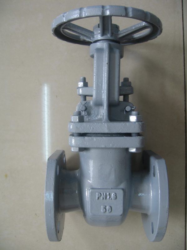 GOST Gate Valve - Image 2