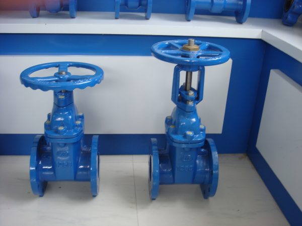 DIN 3352 F4 Rising Stem Resilient Seated Gate Valve - Image 4