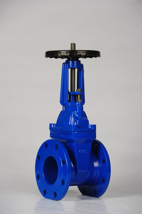 DIN 3352 F4 Rising Stem Resilient Seated Gate Valve - Image 3